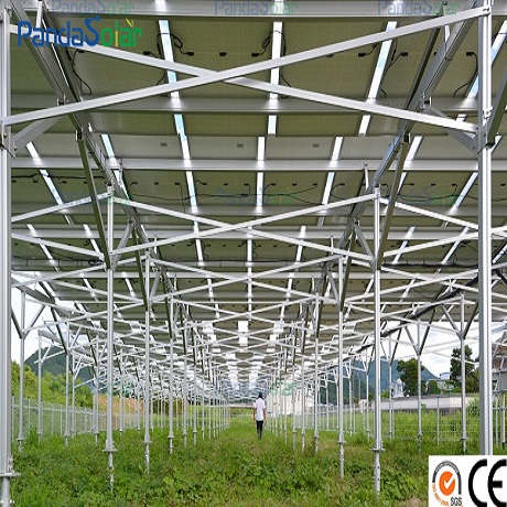 Installation Case | Japanese Agricultural Racking Project